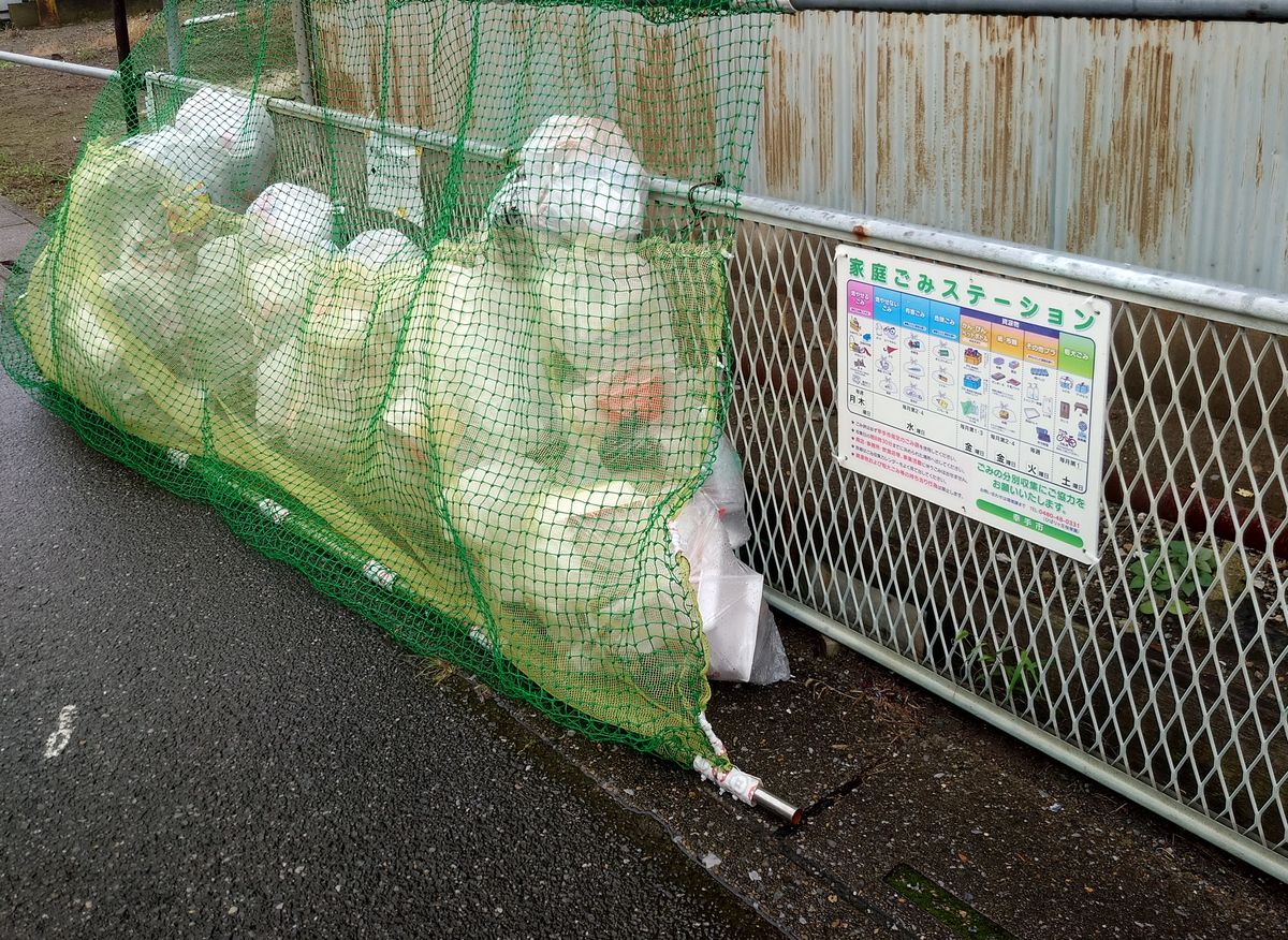 収集日の朝、幸手市の集積所に黄色い指定袋が並び、カラスよけのネットがかけられている様子